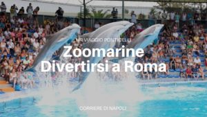 zoomarine: divertirsi a roma