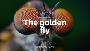 golden fly