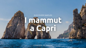 Mammut Capri